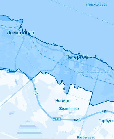 Петродворцовый район